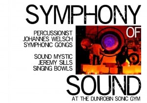 CONCERT – Symphony of Sound 16/02/2013