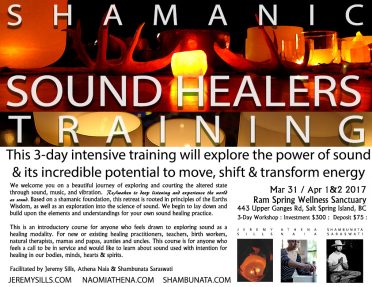 Sound-Healers-Training-level-1-APR2017